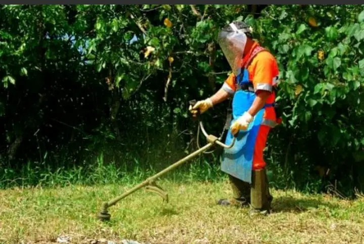 Profissional realizando roçada